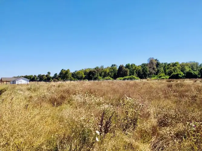 Imagen de Vendemos hermosa Parcela en Freire