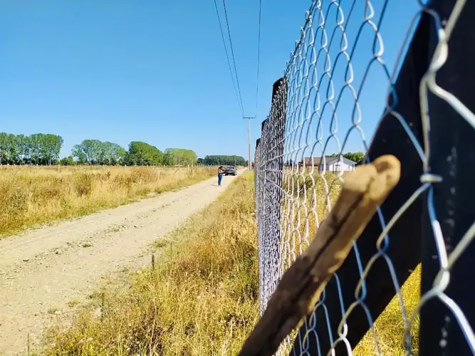 Imagen de Vendemos hermosa Parcela en Freire