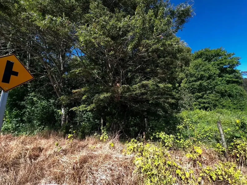 Imagen de Parcelas en Sector Pelales, Maquehue