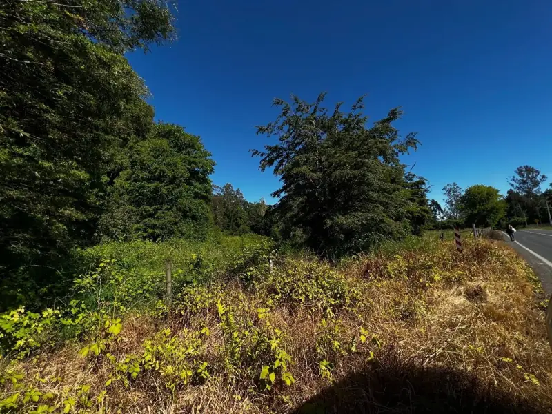 Imagen de Parcelas en Sector Pelales, Maquehue