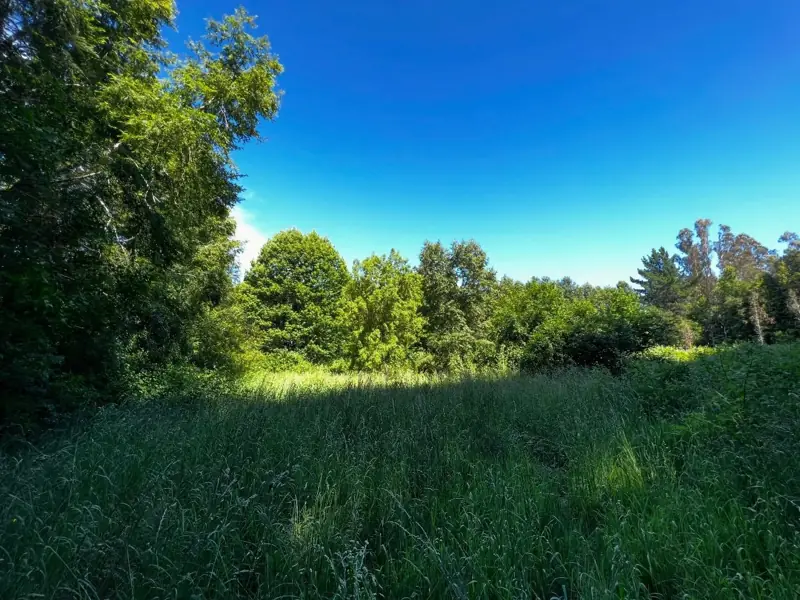 Imagen de Parcelas en Sector Pelales, Maquehue