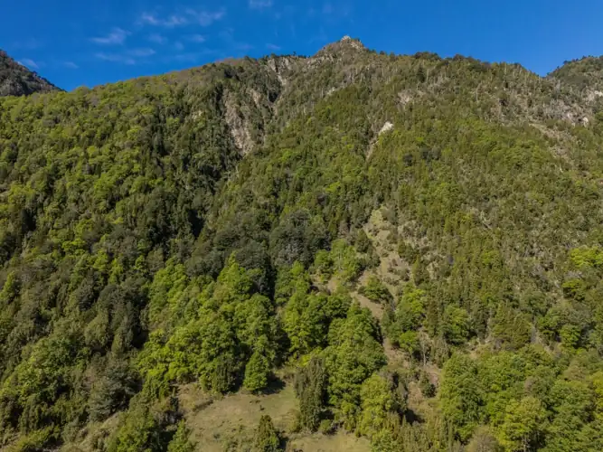 Imagen de Hermoso Campo, Sector Alpehue, a 8km. de Melipeuco