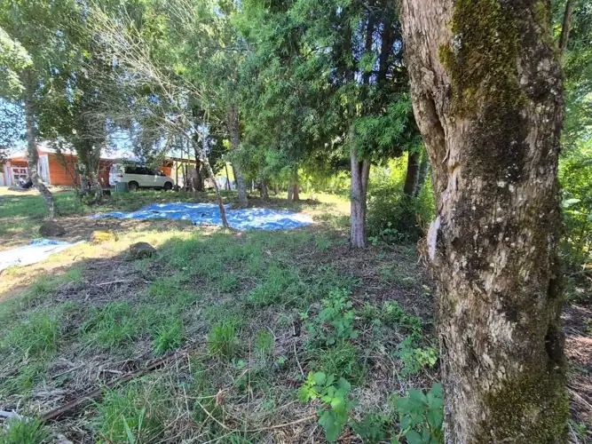 Imagen de Parcela con Casa en Victoria