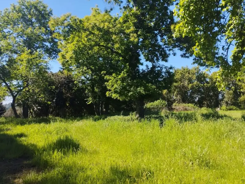 Imagen de Vendemos parcela en Sector Millahuín Bajo