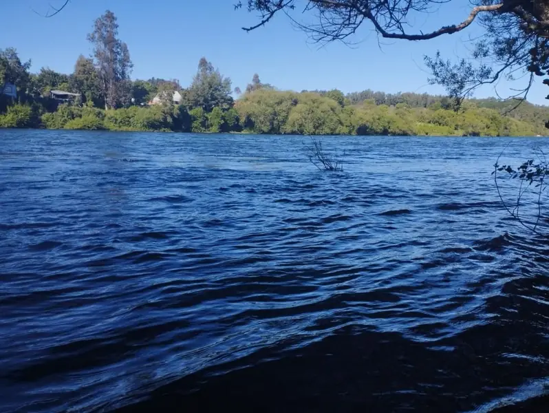 Imagen de Vendemos parcela en Sector Millahuín Bajo