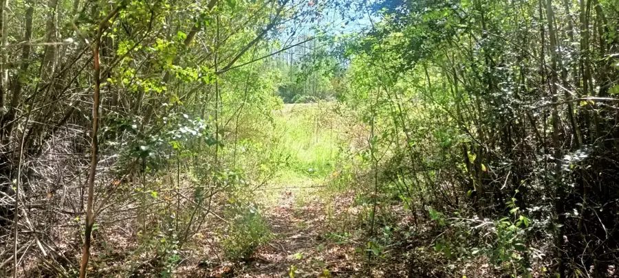 Imagen de en Venta Parcela en Sector Molco