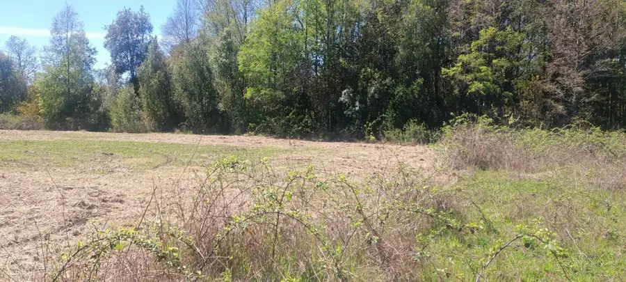 Imagen de en Venta Parcela en Sector Molco