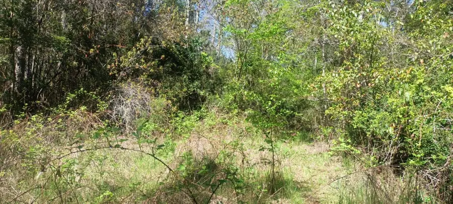 Imagen de en Venta Parcela en Sector Molco