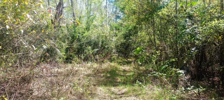 Imagen de en Venta Parcela en Sector Molco