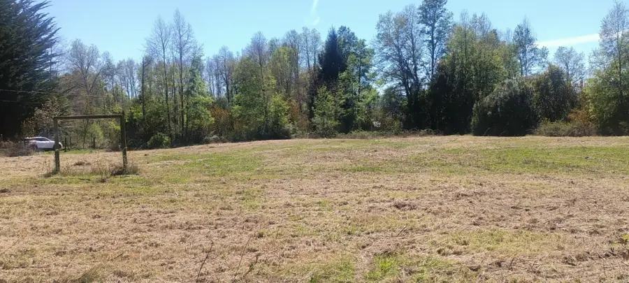 Imagen de en Venta Parcela en Sector Molco