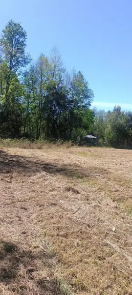 Imagen de en Venta Parcela en Sector Molco