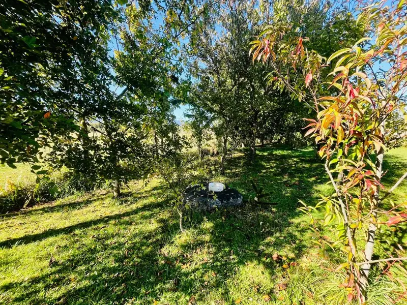 Imagen de Vendemos Hermosa casa en Cunco!