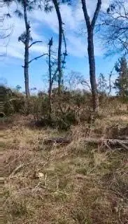 Imagen de Parcela en Venta camino a Villarrica
