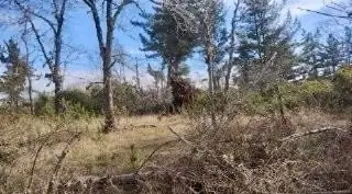 Imagen de Parcela en Venta camino a Villarrica