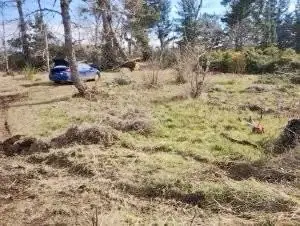 Imagen de Parcela en Venta camino a Villarrica