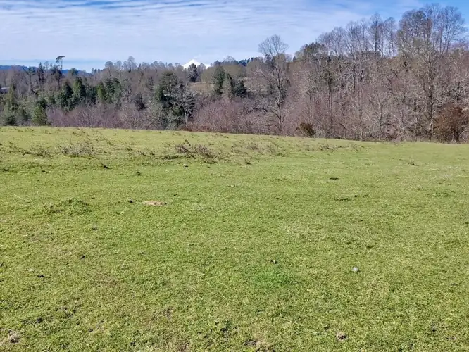 Imagen de Terreno en Sector los Tallos Altos