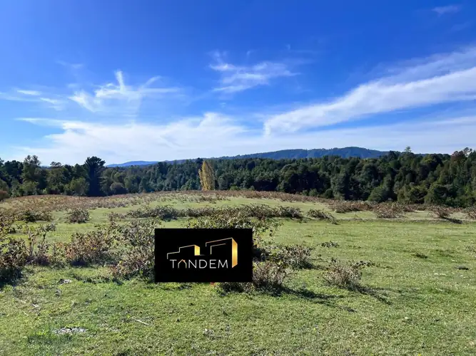 Imagen de Terreno en Sector los Tallos Altos