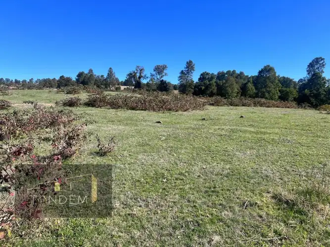 Imagen de Terreno en Sector los Tallos Altos