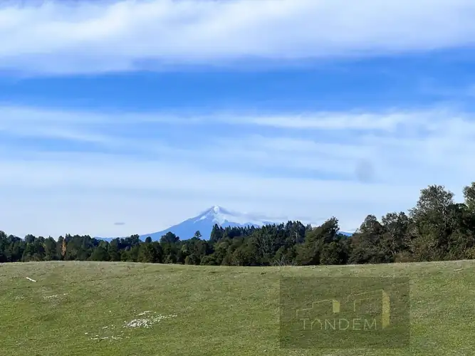 Terreno en Sector los Tallos Altos