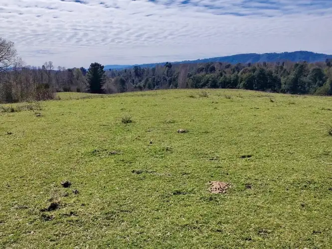 Imagen de Terreno en Sector los Tallos Altos