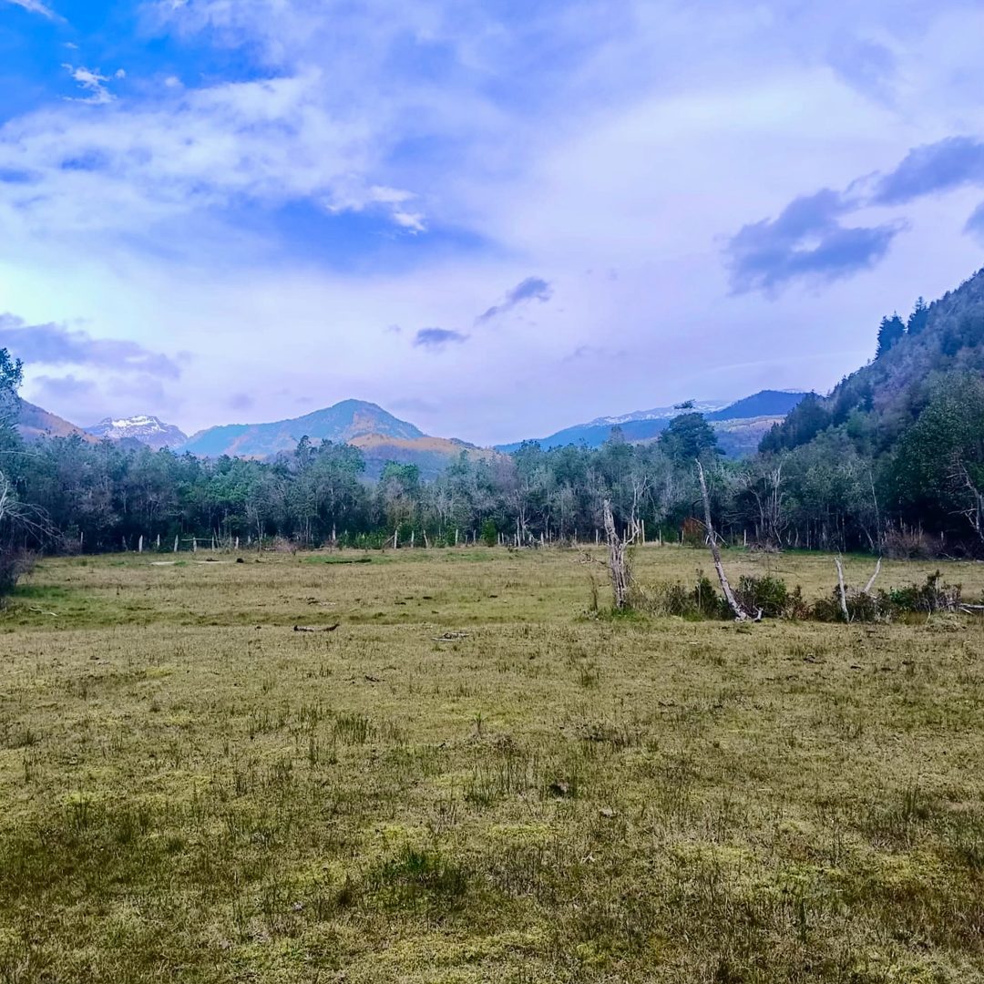 Imagen de Hermoso Campo Camino a Nevados del Sollipulli