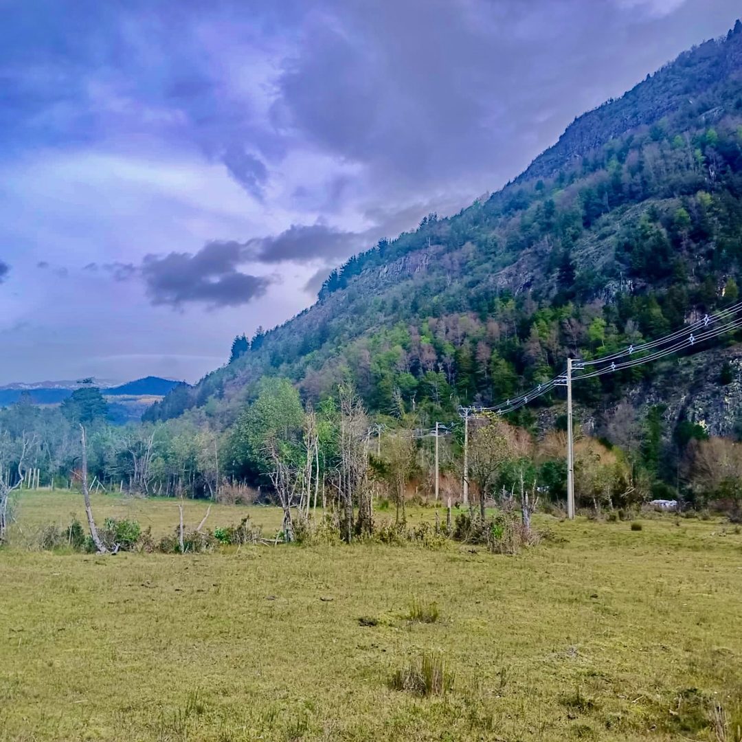 Imagen de Hermoso Campo Camino a Nevados del Sollipulli
