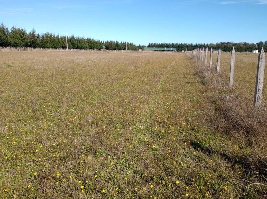 Imagen de Parcela en Condominio, Comuna de Freire, Sector 9 de Julio